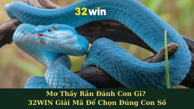 Xổ số - 32WIN - nopg.top
