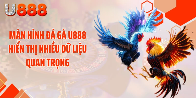Đá Gà U888 - Xé Tan Màn Đêm Với Những Cú Đá Cực Gắt - nopg.top
